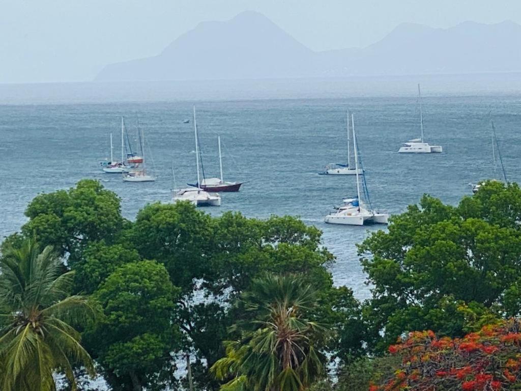 Appartement Les Pieds Dans L'Eau Sainte-Anne Esterno foto